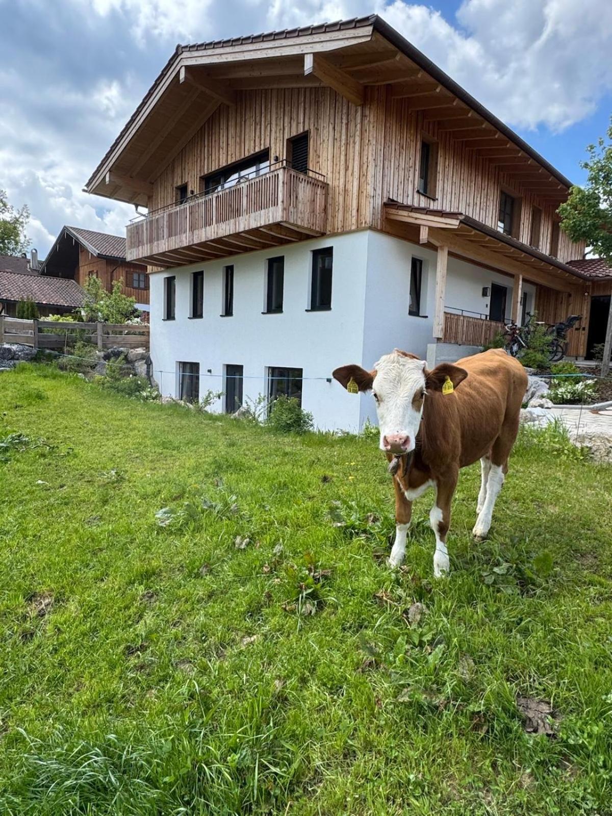 Ferienwohnung Gschwendt Miesbach Kültér fotó